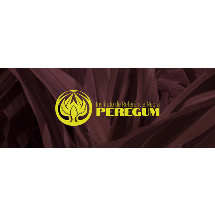 Instituto de Referência Negra Peregum